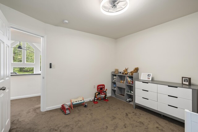 4130 Mill Creek Dr, Cresco, PA 18326 - recreation room with carpet flooring