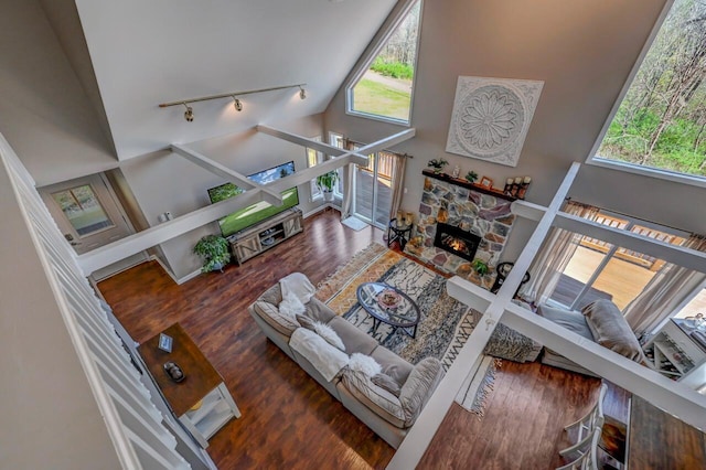 living room with high vaulted ceiling, rail lighting, a stone fireplace, and wood finished floors