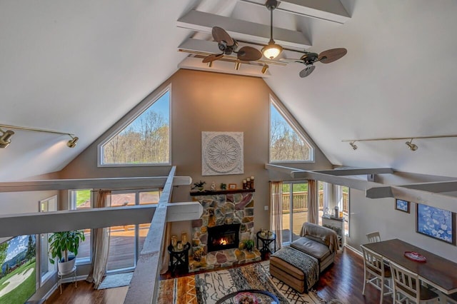 living room with a healthy amount of sunlight, ceiling fan, rail lighting, and wood finished floors
