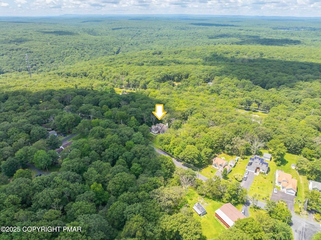 339 Mallard Ln, Bushkill, PA 18324 - photo 58
