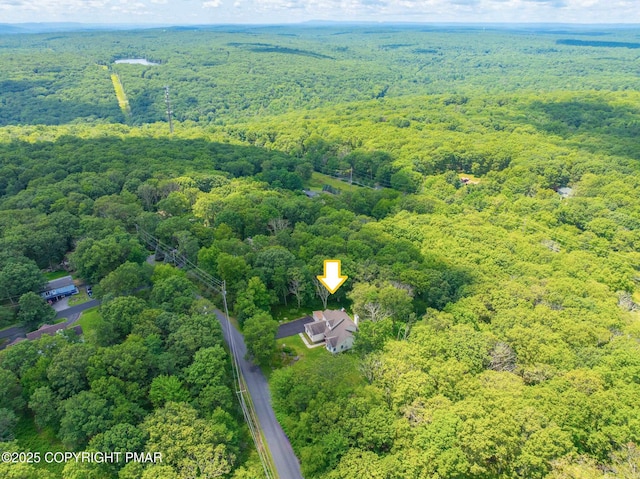 339 Mallard Ln, Bushkill, PA 18324 - photo 9
