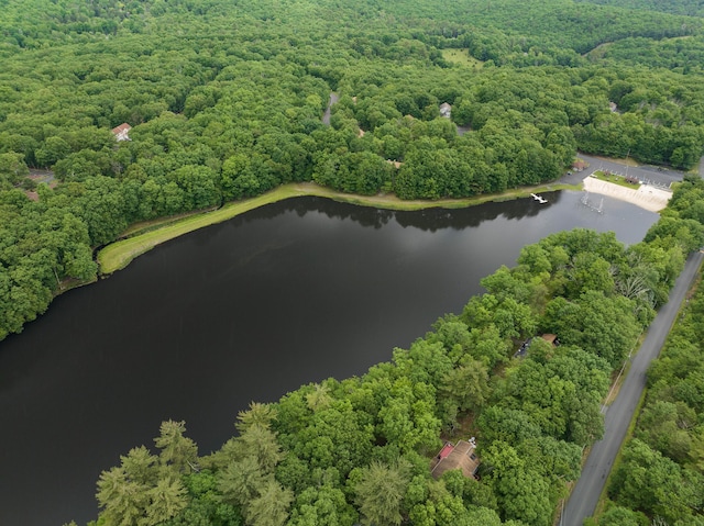 476 Hyland Dr, East Stroudsburg, PA 18301 - birds eye view of property with a forest view and a water view