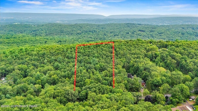 Alpha Dr Unit 111, Stroudsburg, PA 18360 - photo 4
