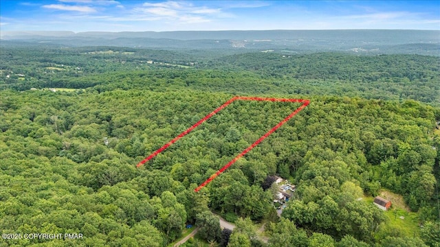 Alpha Dr Unit 111, Stroudsburg, PA 18360 - photo 5