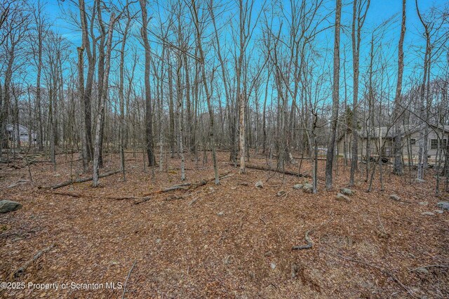 27 Lake Natalie Dr, Gouldsboro, PA 18424 - photo 37