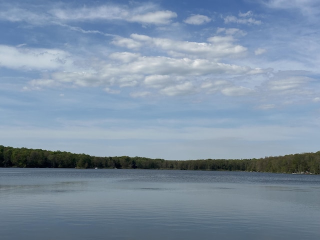 27 Lake Natalie Dr, Gouldsboro, PA 18424 - photo 2
