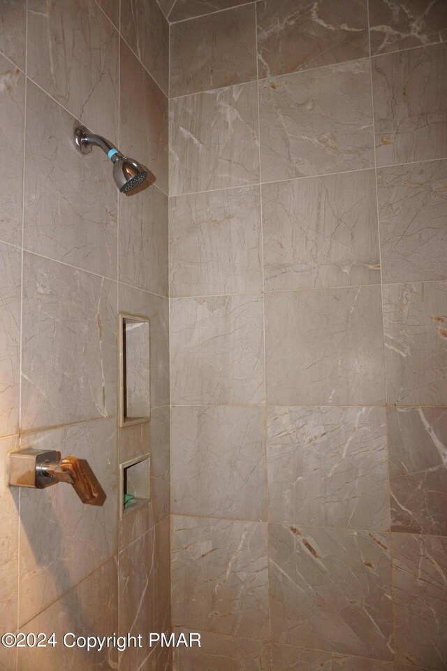 6760 Bear Creek Blvd, Bear Creek Township, PA 18702 - details featuring a tile shower
