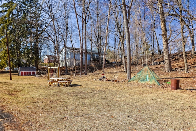 840 Columbus Ave, Stroudsburg, PA 18360 - view of yard featuring an outbuilding and a storage unit