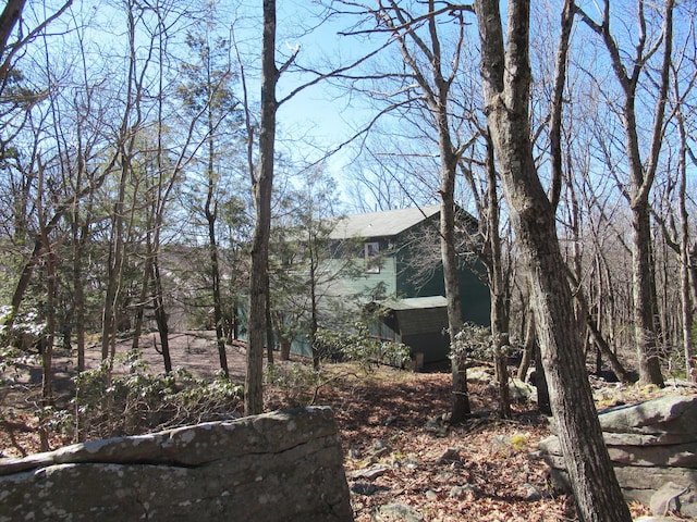 view of home's exterior featuring a shingled roof