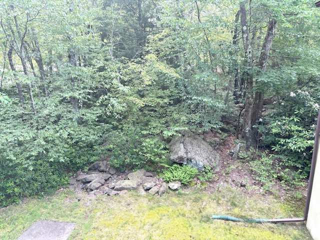 84 N Sycamore Dr, Jim Thorpe, PA 18229 - photo 21