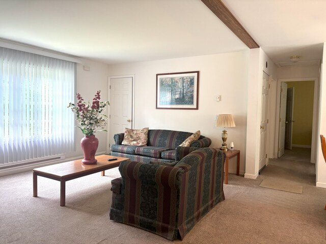 84 N Sycamore Dr, Jim Thorpe, PA 18229 - photo 4