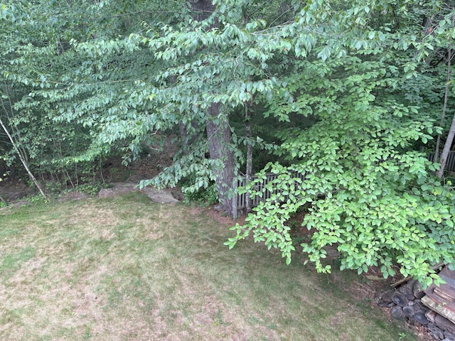 84 N Sycamore Dr, Jim Thorpe, PA 18229 - photo 22