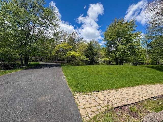 439 Cedar Dr, Long Pond, PA 18334 - view of asphalt road