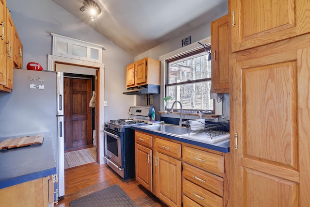 927 Hickory Valley Rd, Stroudsburg, PA 18360 - kitchen featuring stainless steel appliances, dark wood-type flooring, a sink, lofted ceiling, and under cabinet range hood