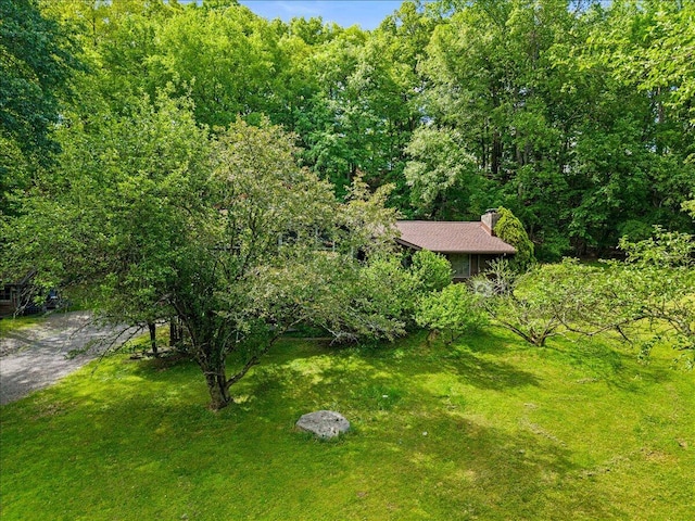 927 Hickory Valley Rd, Stroudsburg, PA 18360 - view of grassy yard featuring a view of trees
