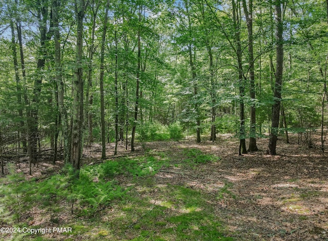 view of local wilderness with a wooded view