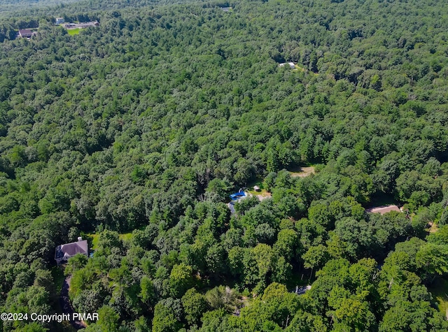 aerial view with a forest view