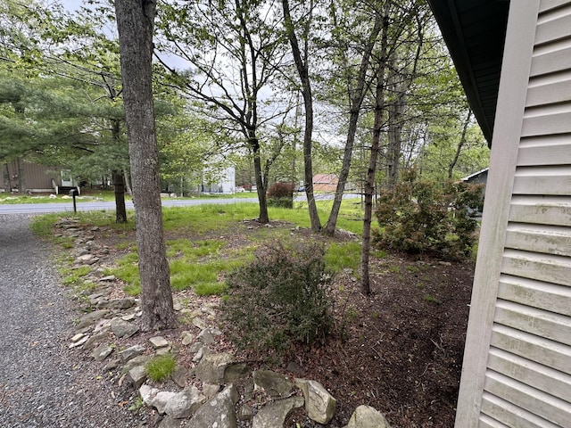 485 Country Place Dr, Tobyhanna, PA 18466 - photo 3