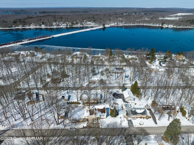 snowy aerial view with a water view