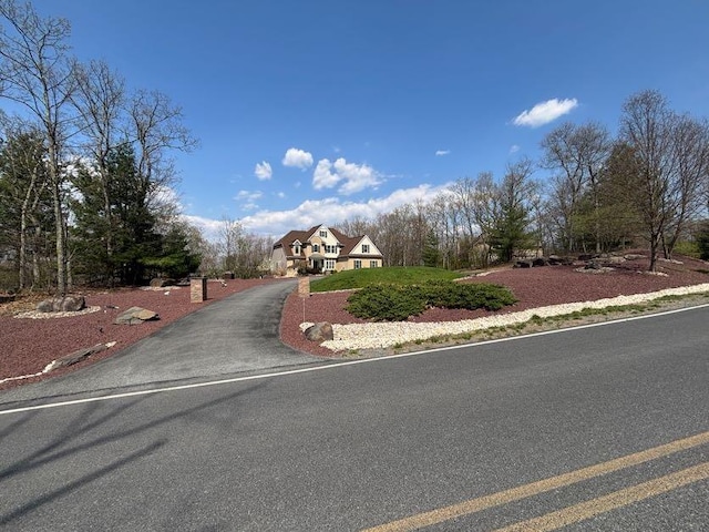 389 Joanne Ct, Bartonsville, PA 18321 - view of asphalt driveway