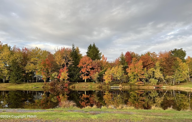 property view of water