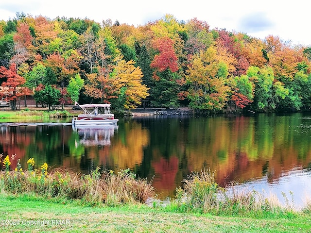 property view of water featuring a wooded view