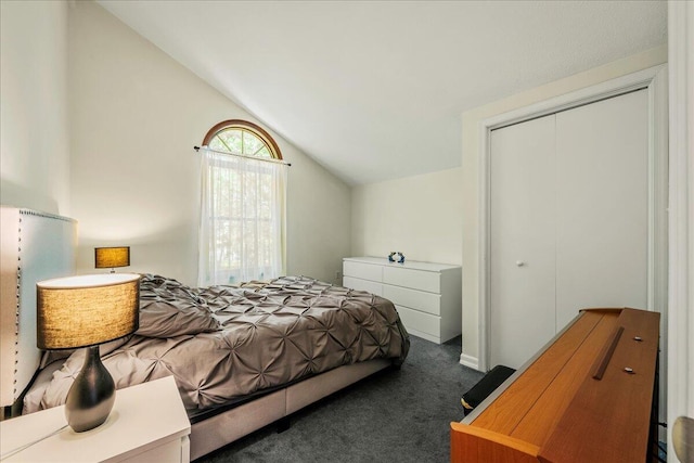 349 Mallard Ln, Bushkill, PA 18324 - carpeted bedroom featuring lofted ceiling and a closet
