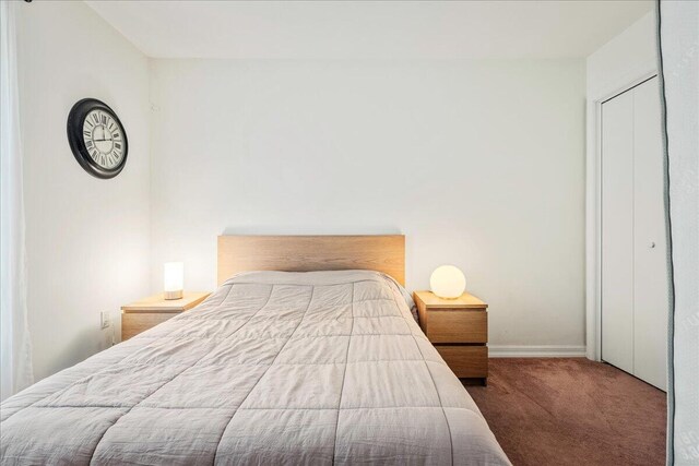 349 Mallard Ln, Bushkill, PA 18324 - bedroom with carpet flooring, baseboards, and a closet