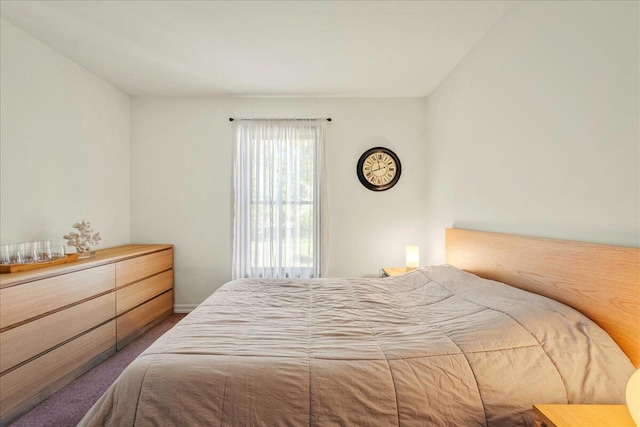 349 Mallard Ln, Bushkill, PA 18324 - view of carpeted bedroom