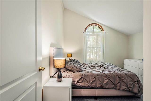 349 Mallard Ln, Bushkill, PA 18324 - bedroom featuring lofted ceiling