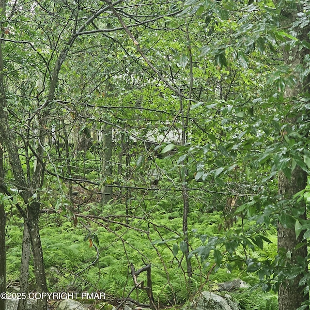 7 No Name Trl, Gouldsboro, PA 18424 - photo 7