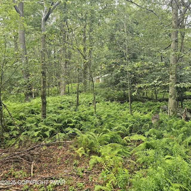 7 No Name Trl, Gouldsboro, PA 18424 - photo 3