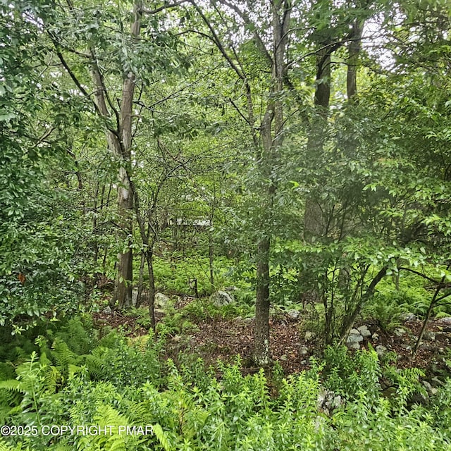 7 No Name Trl, Gouldsboro, PA 18424 - photo 8