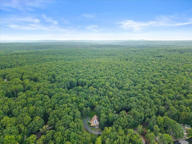 325 Chestnut Rd, East Stroudsburg, PA 18302 - drone / aerial view of a forest