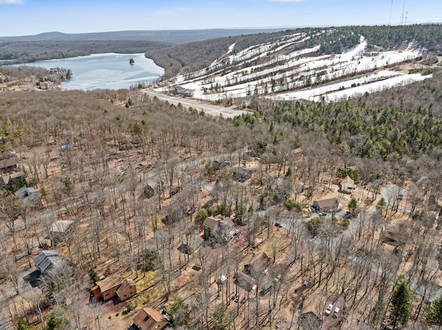 aerial view with a forest view