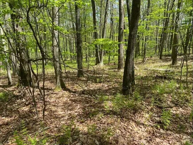 399 Bobolink Trl, Bushkill PA, 18324 land for sale