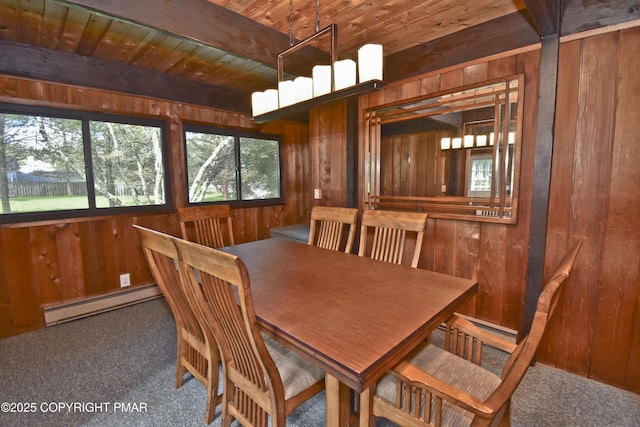 37 Lakeview Dr, Albrightsville, PA 18210 - photo 9