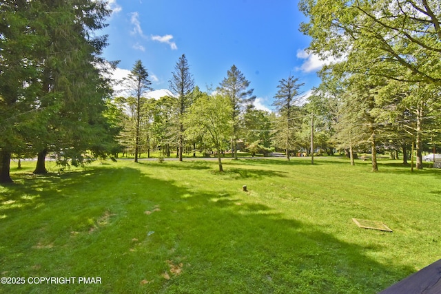 37 Lakeview Dr, Albrightsville, PA 18210 - photo 43