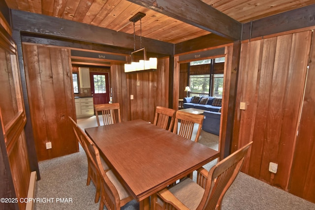 37 Lakeview Dr, Albrightsville, PA 18210 - photo 11