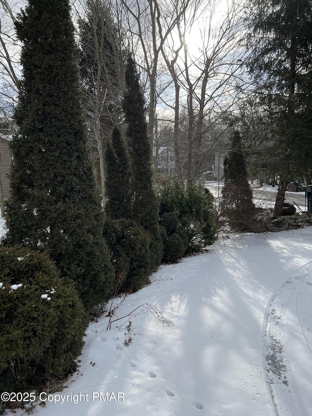 view of yard covered in snow