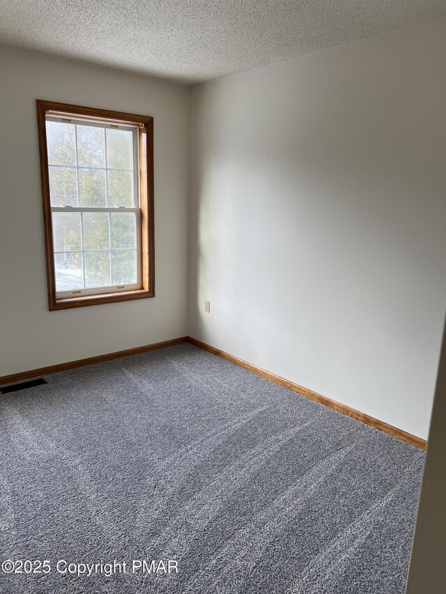 carpeted spare room featuring a textured ceiling