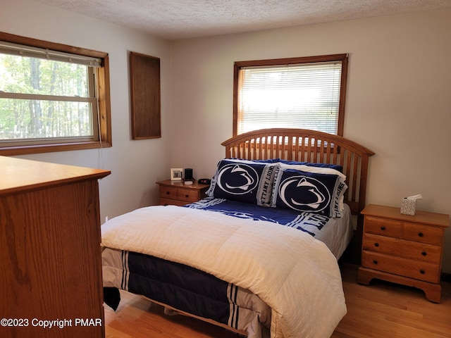 21 Cherry Ct, Clifton Township, PA 18424 - bedroom featuring light wood-type flooring and a textured ceiling