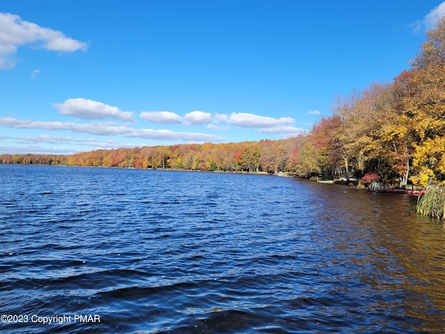 21 Cherry Ct, Clifton Township, PA 18424 - water view featuring a heavily wooded area
