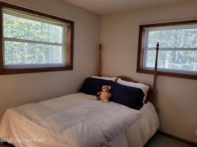 21 Cherry Ct, Clifton Township, PA 18424 - view of carpeted bedroom