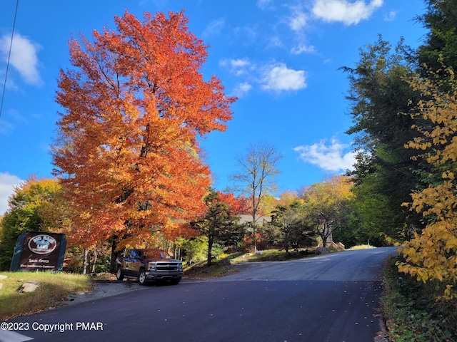 21 Cherry Ct, Clifton Township, PA 18424 - view of asphalt street
