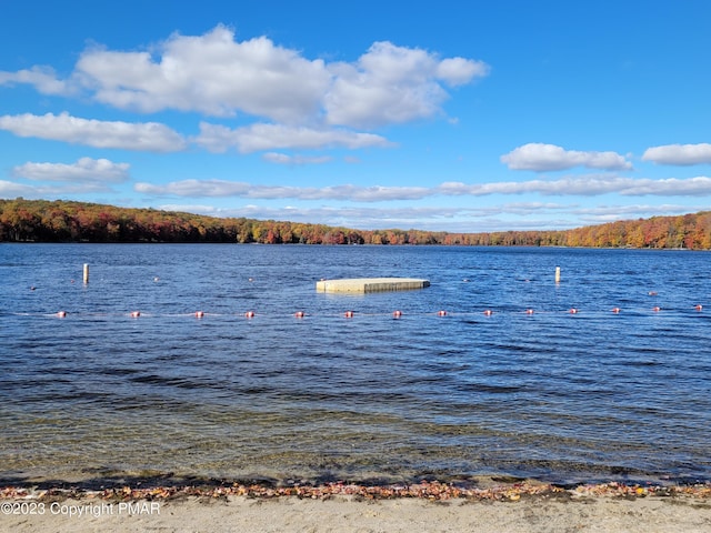 21 Cherry Ct, Clifton Township, PA 18424 - water view featuring a forest