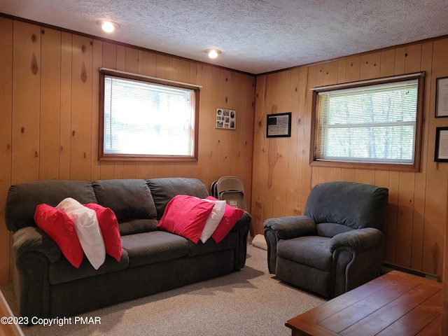 21 Cherry Ct, Clifton Township, PA 18424 - carpeted living area with a textured ceiling and wooden walls