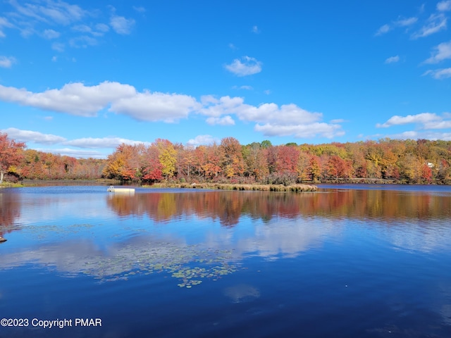 21 Cherry Ct, Clifton Township, PA 18424 - water view with a forest
