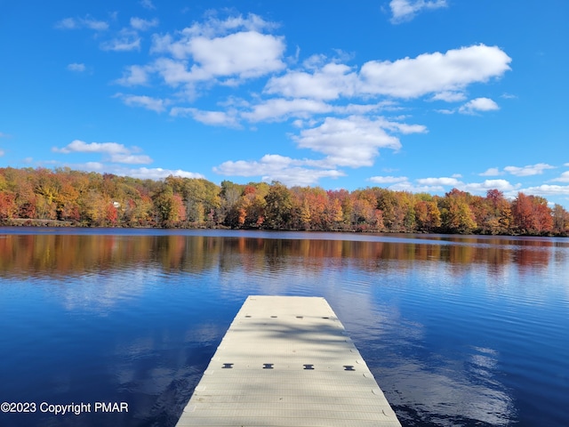 21 Cherry Ct, Clifton Township, PA 18424 - dock area with a view of trees and a water view