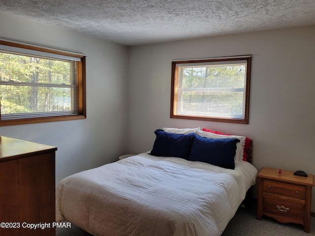21 Cherry Ct, Clifton Township, PA 18424 - bedroom featuring multiple windows, a textured ceiling, and carpet flooring